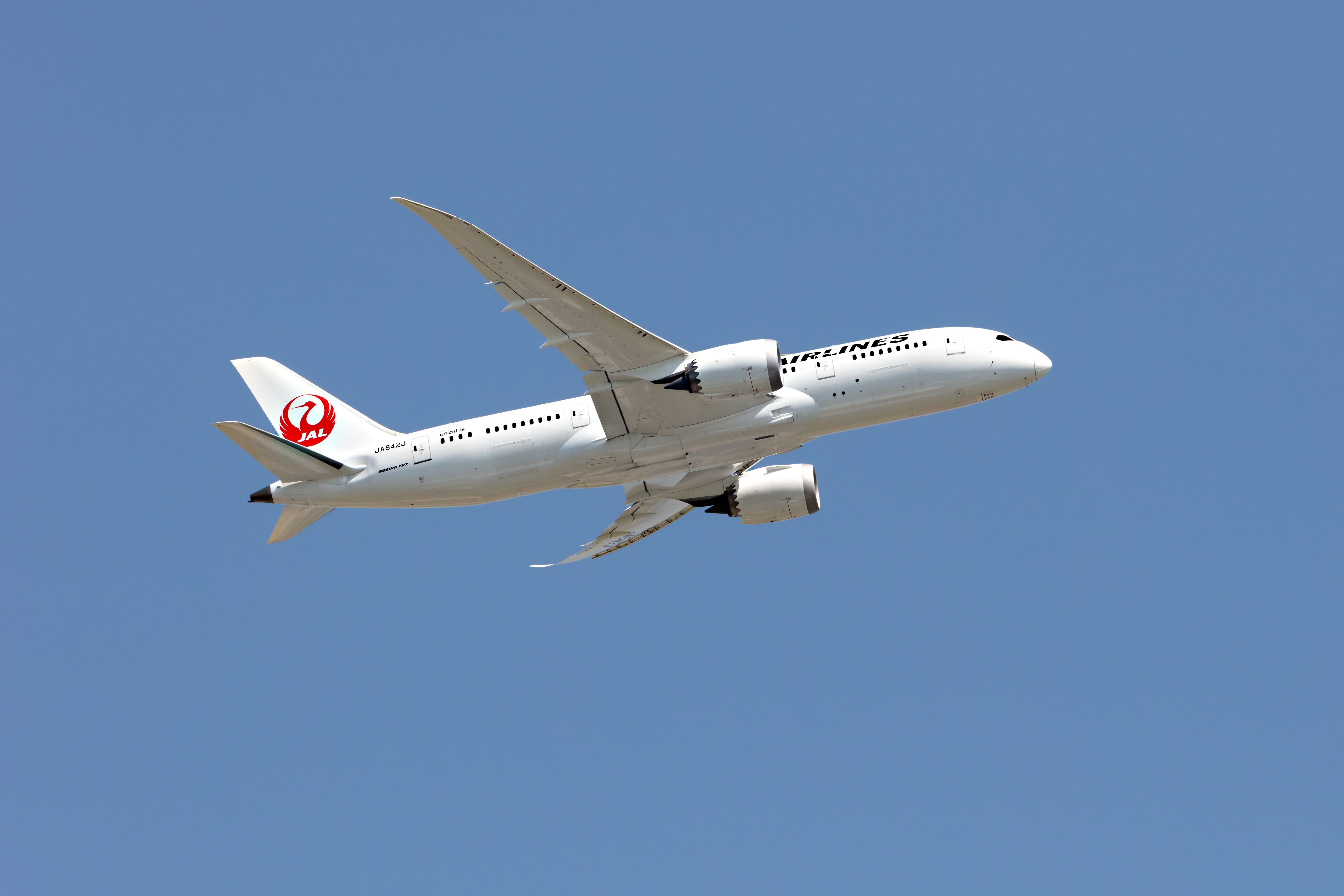 Japan Airlines Boeing 787-8