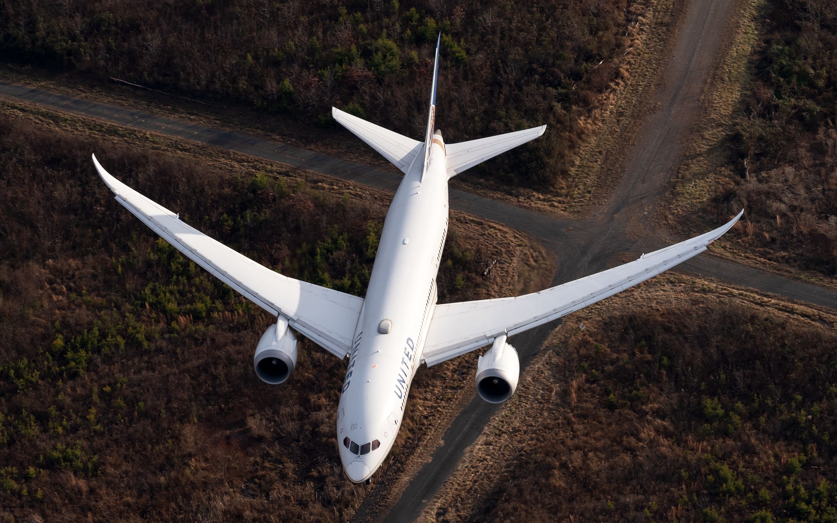 United Airlines Boeing 787-8 Dreamliner (1)
