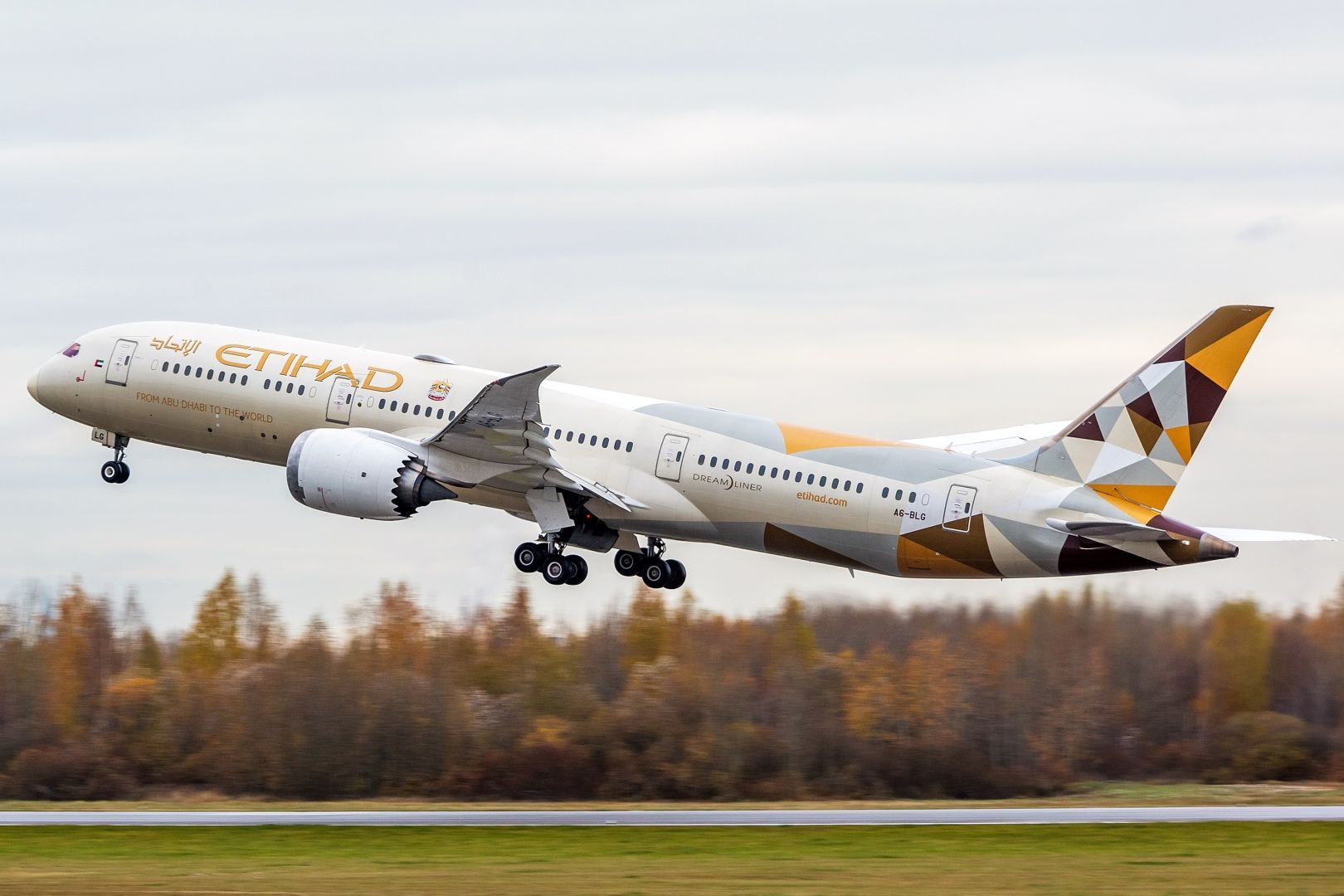 An Etihad Airways Boeing 787 Dreamliner