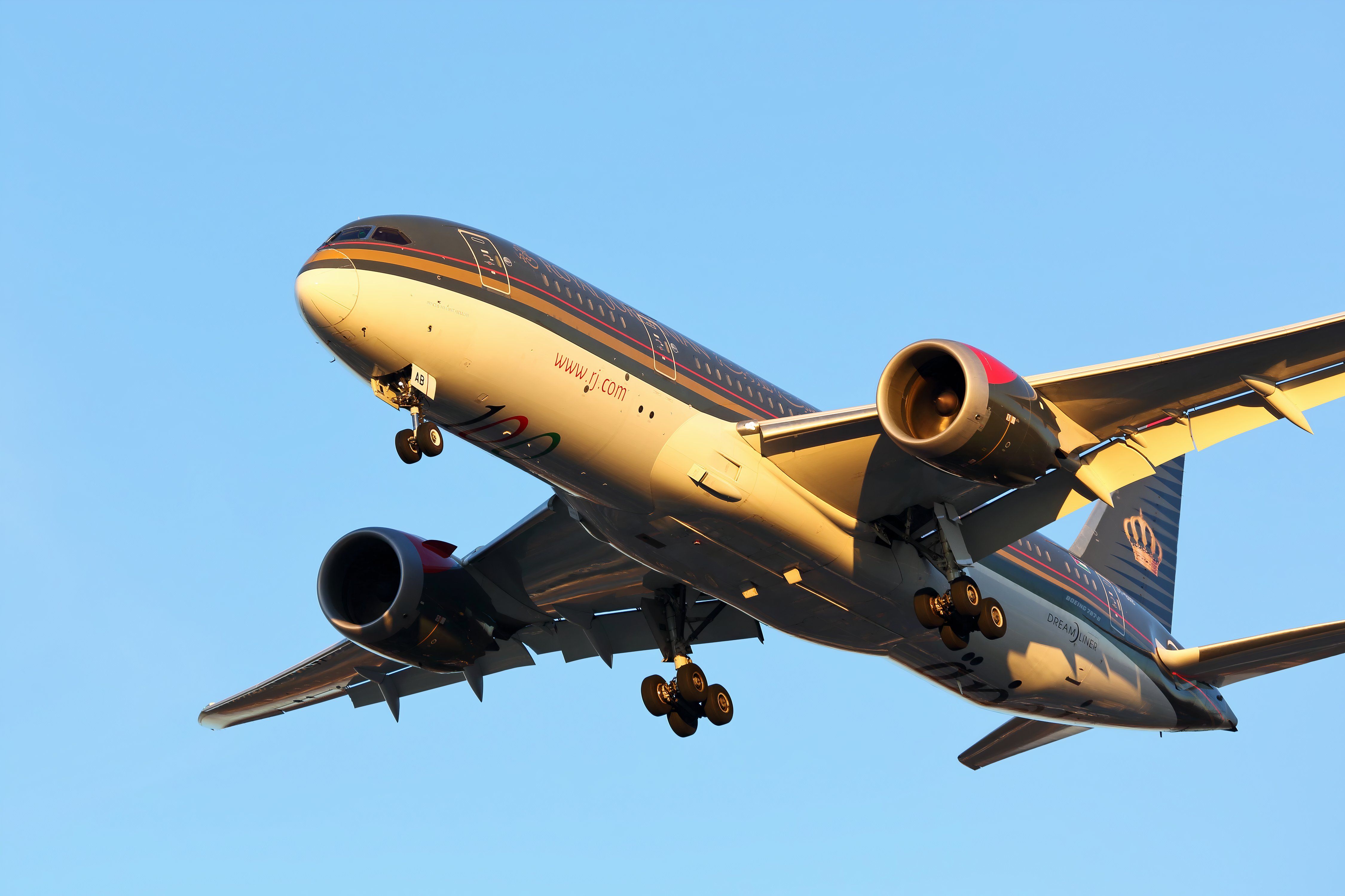 Royal Jordanian shutterstock_1031374825