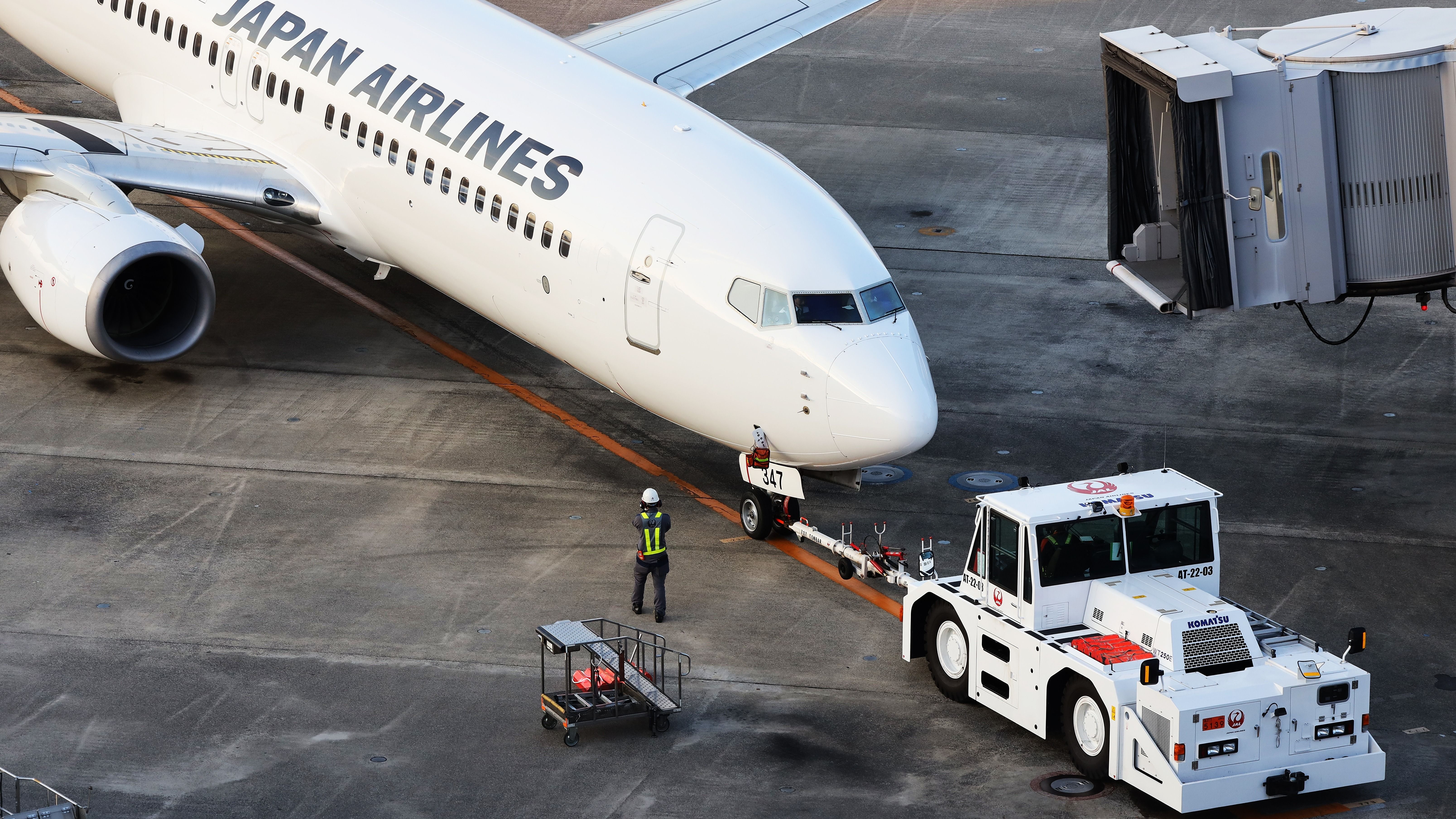 Japan Airlines JAL 737-800 Tokyo Haneda 