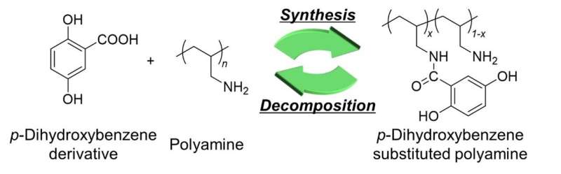 New organic polymer paves the way for recyclable water-based batteries