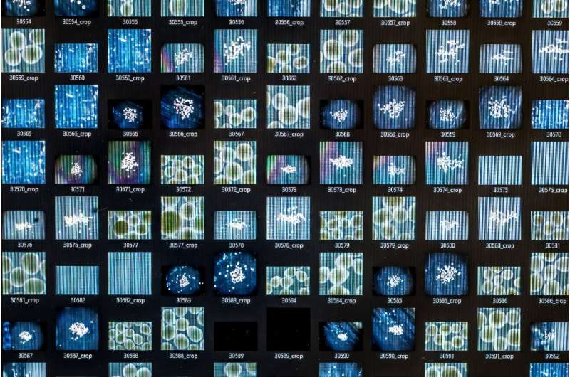 Biocomputing aims to harness the evolutionarily honed -- yet still mysterious -- computing power of the human brain. Biocomputing aims to harness the evolutionarily honed -- yet still mysterious -- computing power of the human brain