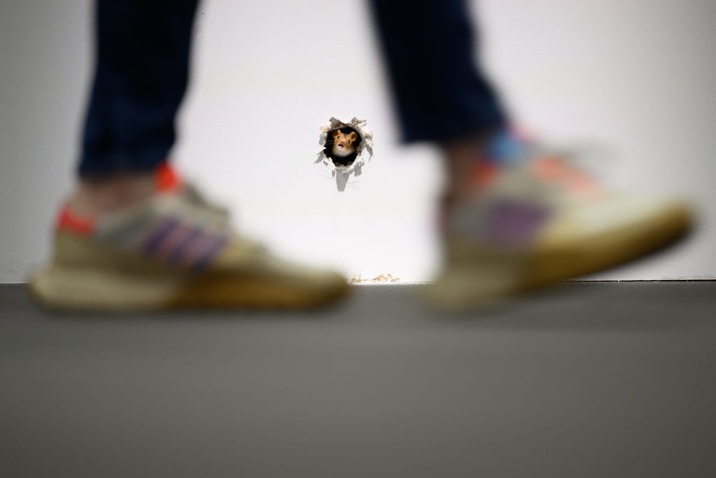 a pair of legs is blurred in the foreground of a photograph of an artwork featuring a rat peeking out of a hole in the wall