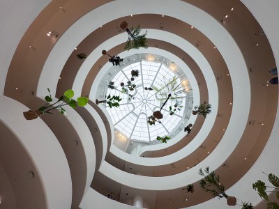 A view looking up at a spiraling rotunda with plants hanging down.