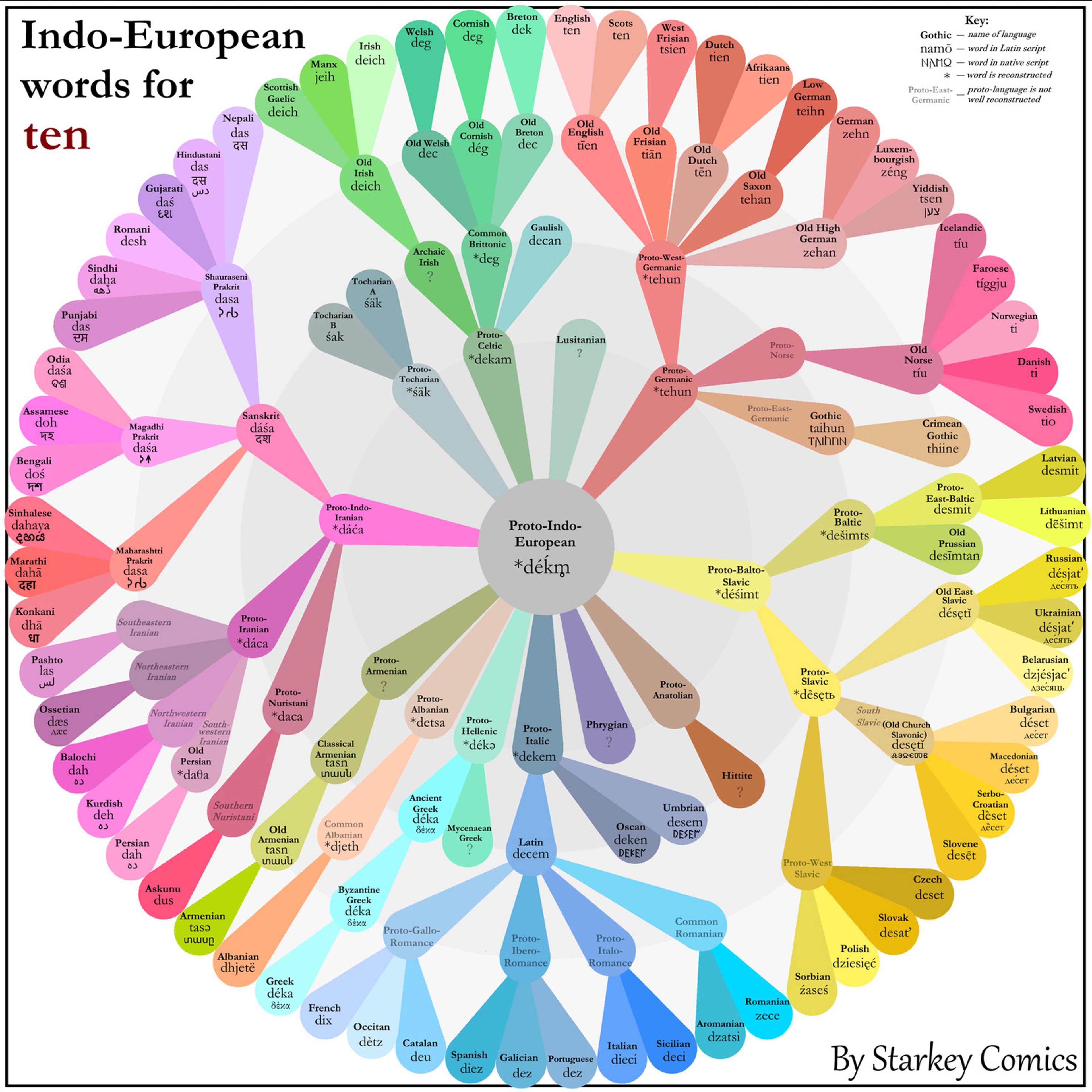 Chart illustrating Indo-European words for ‘ten’ in various languages, styles and colour coded by language family.