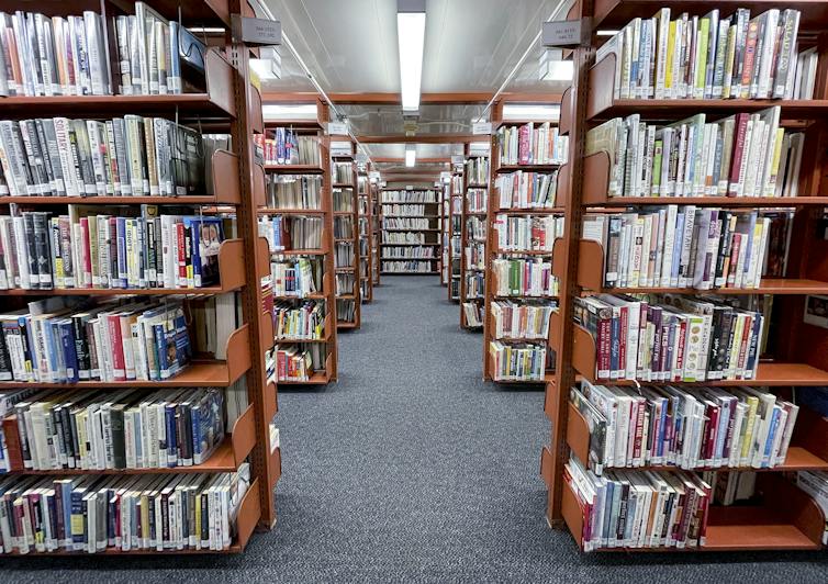 Stacks of tall shelves filled with books