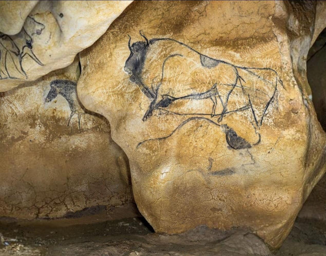 The incredible Chauvet-Pont D’Arc cave paintings aren’t quite as incredible in a flat image.