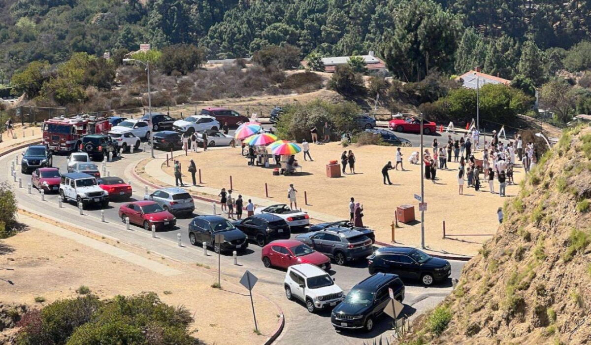A wide view of many parked cars and visitors on a narrow street.